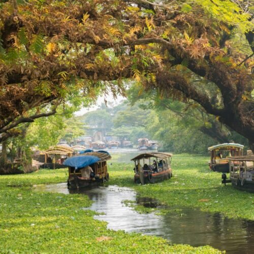 There was image of kerala